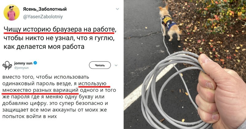 какой нибудь смешной прикол. Смотреть фото какой нибудь смешной прикол. Смотреть картинку какой нибудь смешной прикол. Картинка про какой нибудь смешной прикол. Фото какой нибудь смешной прикол