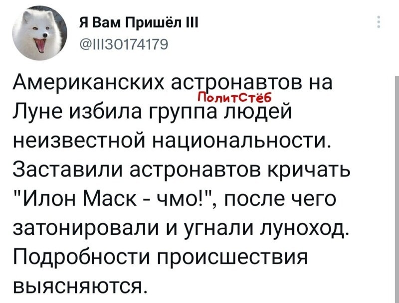 О политике и не только