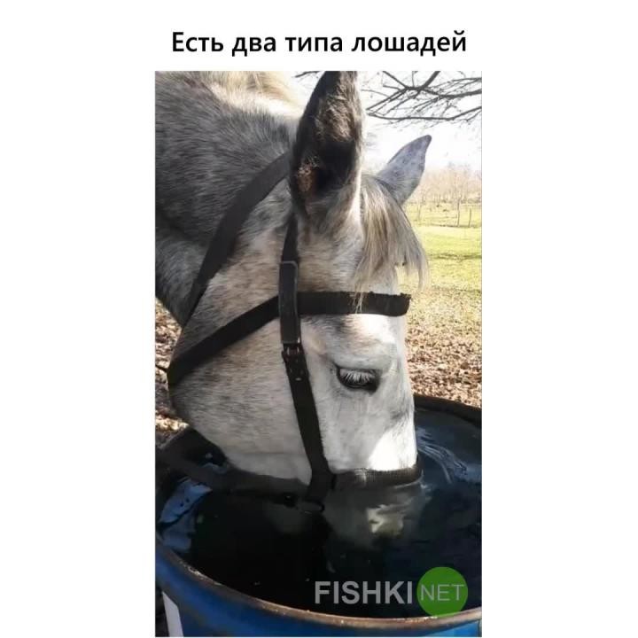 какой нибудь смешной прикол. Смотреть фото какой нибудь смешной прикол. Смотреть картинку какой нибудь смешной прикол. Картинка про какой нибудь смешной прикол. Фото какой нибудь смешной прикол