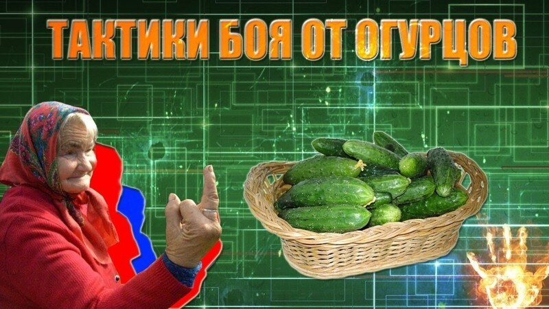 Африканский Байден, защита от правды и огуречная «атака» 