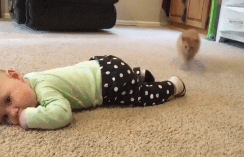 Просто гифки, всякие и разные