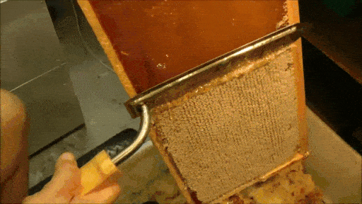 Просто гифки, всякие и разные