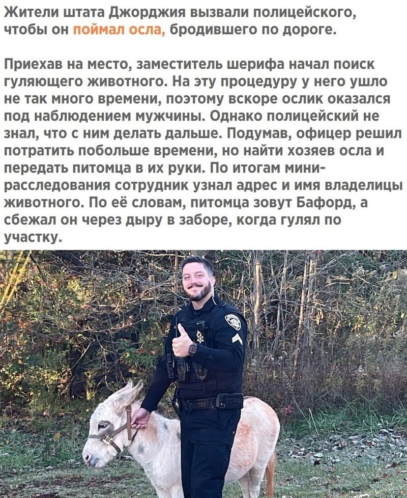 Утренний полит. мониторинг