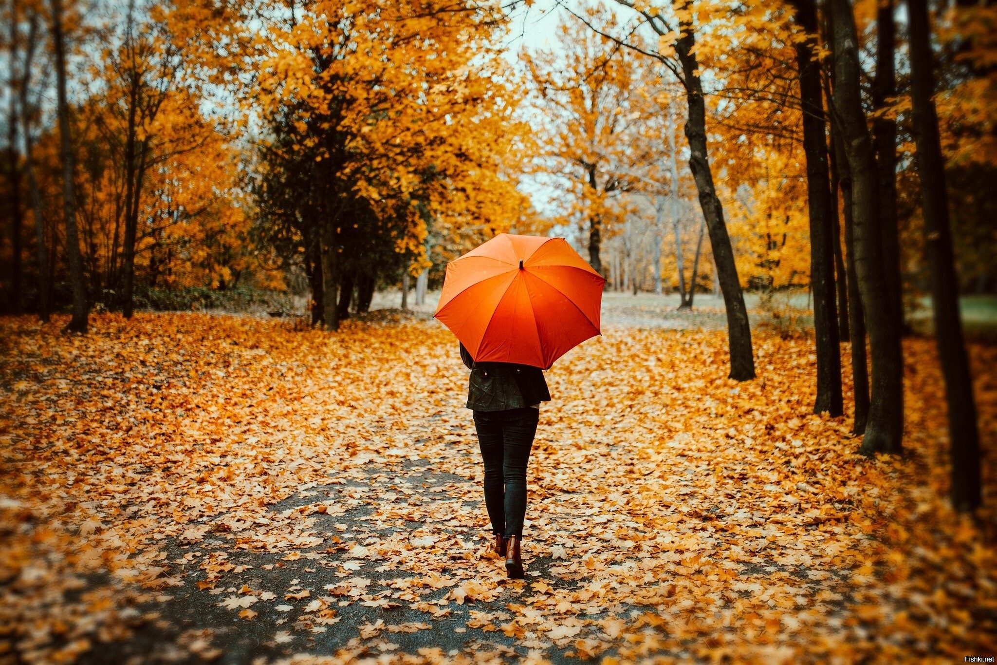 Девушка с зонтом в осеннем парке