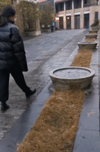 По тонкому льду