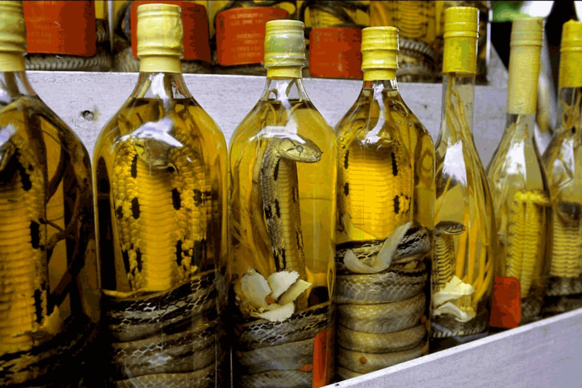 Змеиное вино (Вьетнам). Змеиное вино из Вьетнама. Купить настойка змей