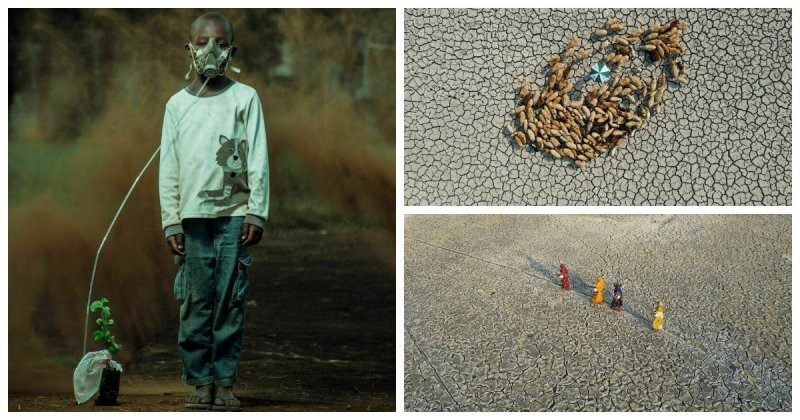 Экологические проблемы планеты в объективе фотографов: 15 впечатляющих снимков
