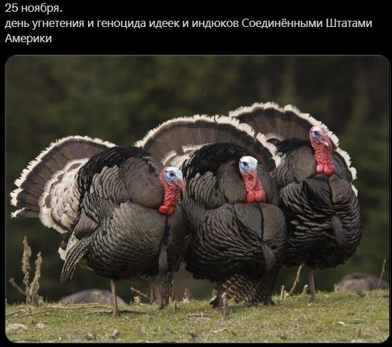 Политический новостной мониторинг , вечерний. Выпуск 37