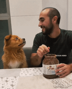 Картинки в чёрно-белых тонах. Выпуск 48