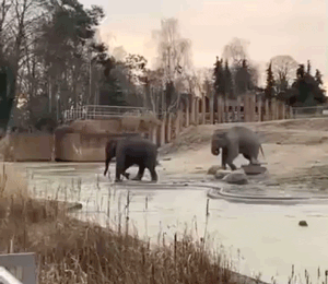Просто гифки, всякие и разные