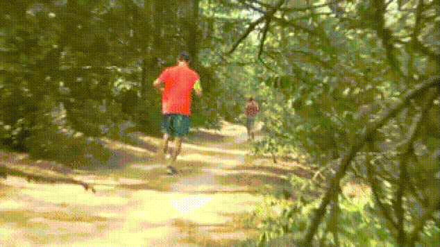 Просто гифки, всякие и разные