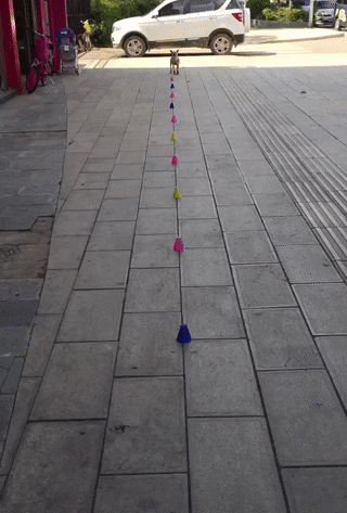 Просто гифки, всякие и разные