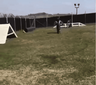 Просто гифки, всякие и разные