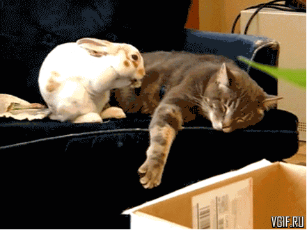 Просто гифки, всякие и разные