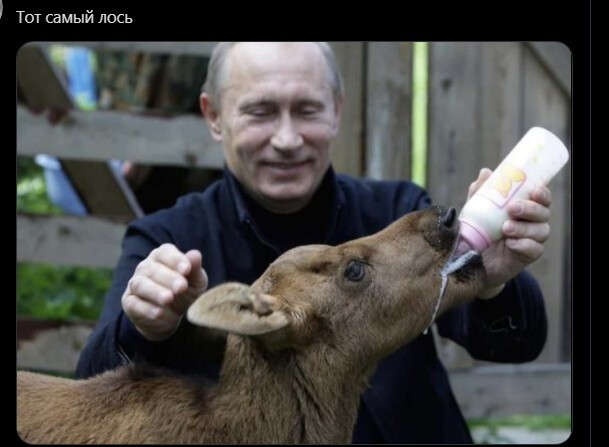 )... теперь всё понятно