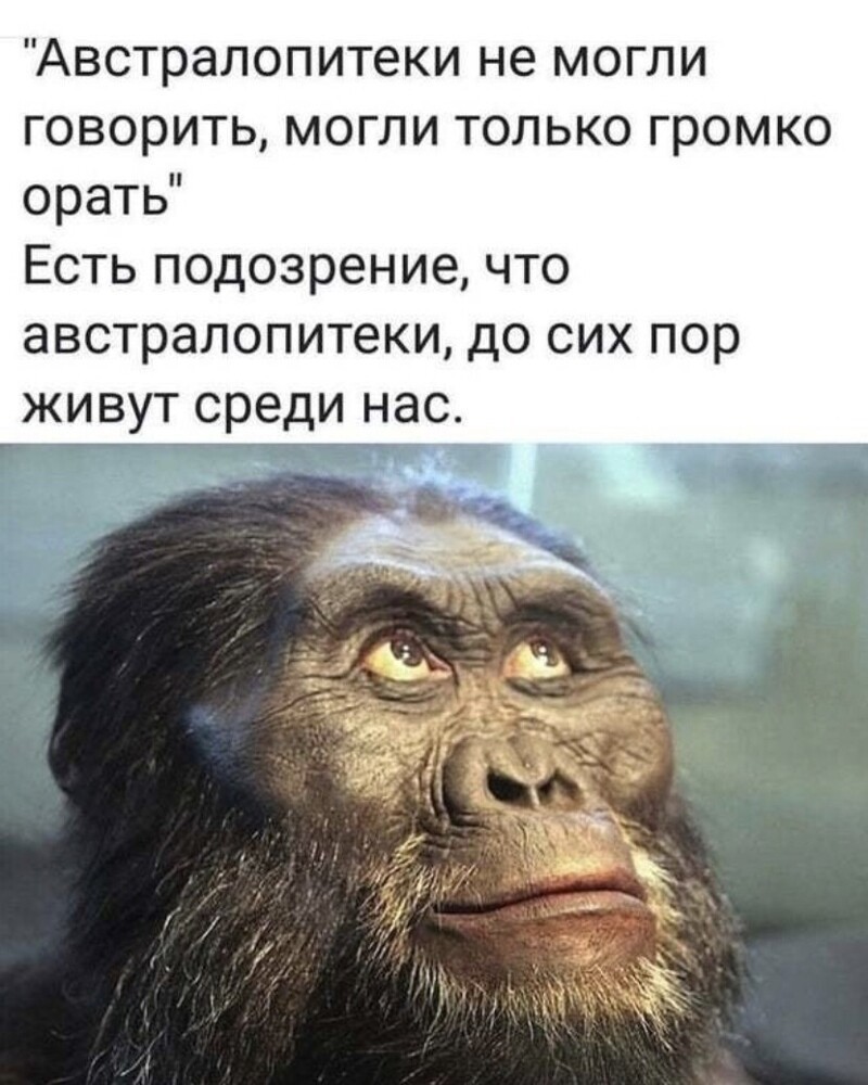 На ночь глядючи с позитивом