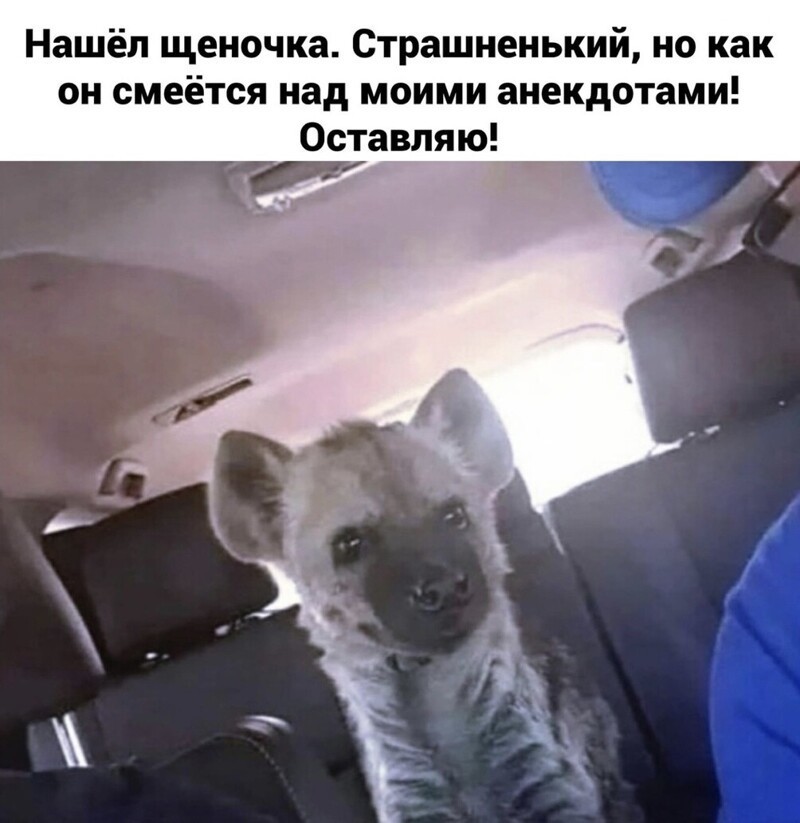 На ночь глядючи с позитивом