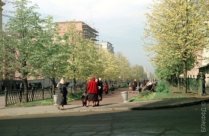 Отдыхающие в сквере на улице Ленина. 1953−1955 годы.