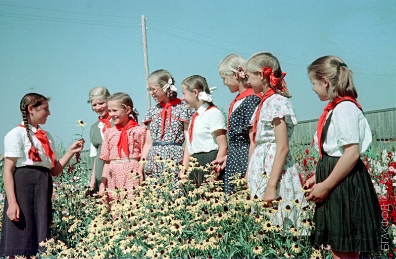 Учащаяся минской школы № 49 Мила Маршак рассказывает ученикам школ Могилевской области о работе кружка цветоводов Центральной станции юннатов. 1955 год.