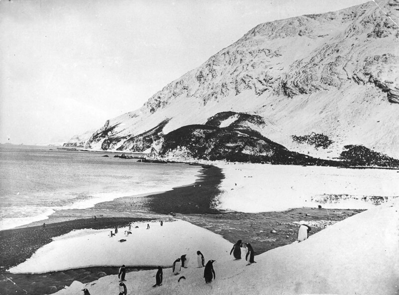 Пляж на острове Элефант, где разбила лагерь экспедиция