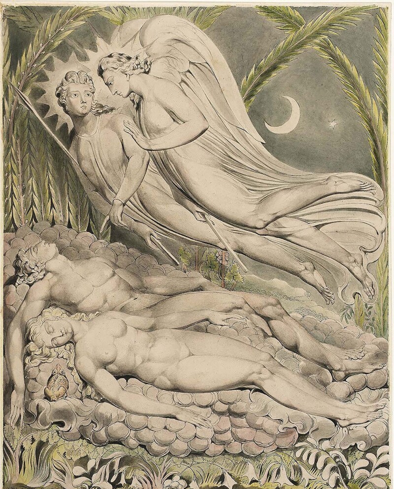 Адам и Ева спят