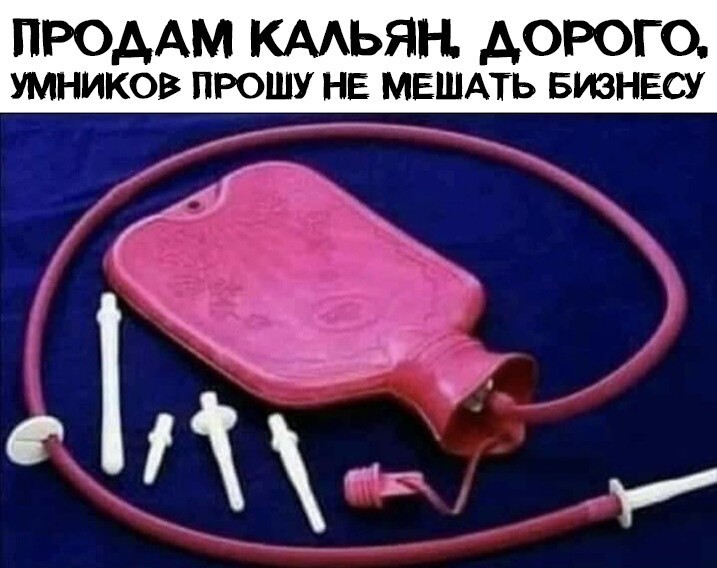 Что где когда приколы видео. Смотреть фото Что где когда приколы видео. Смотреть картинку Что где когда приколы видео. Картинка про Что где когда приколы видео. Фото Что где когда приколы видео