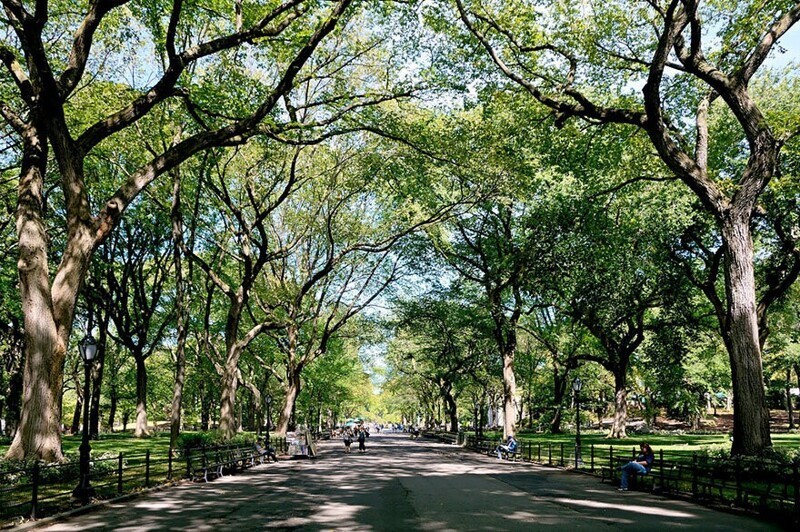 Poet’s Walk, Центральный парк, Нью-Йорк, США