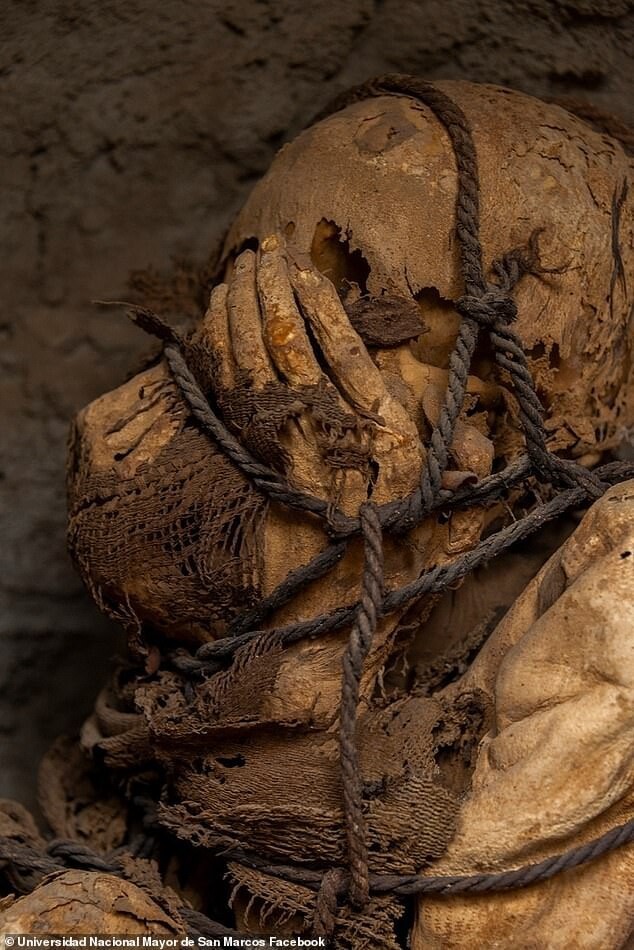 В перуанской гробнице нашли связанную мумию