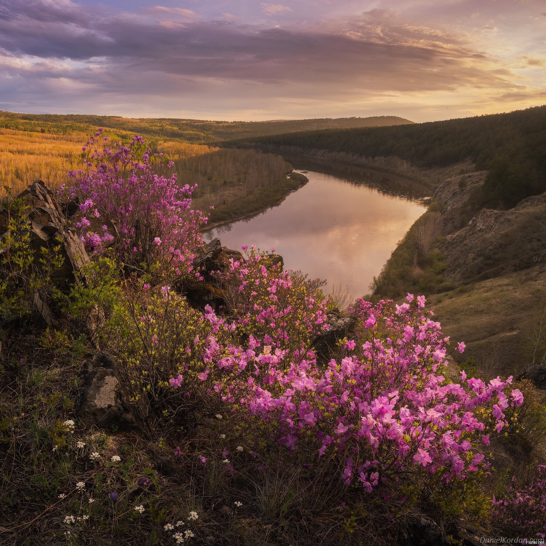 Забайкалье г