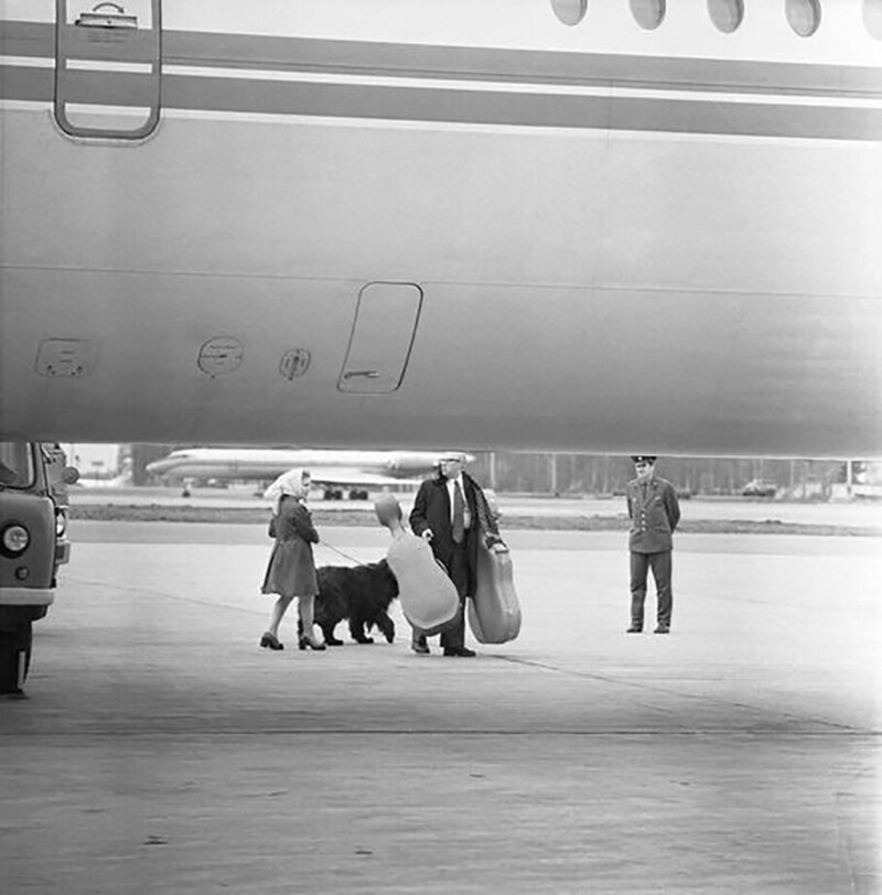 Ростропович покидает Родину. 1974 год