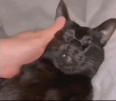 С добрым утром