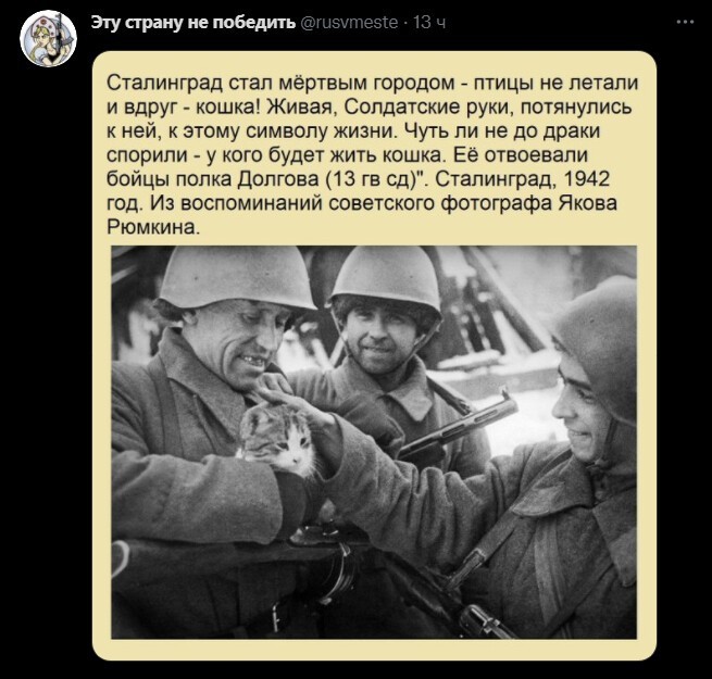 Политический новостной мониторинг , обеденный. Выпуск 46