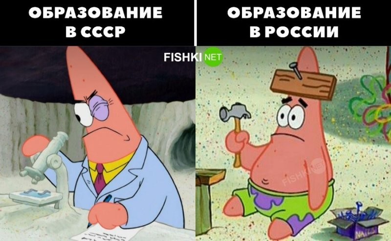 Смешные и познавательные картинки