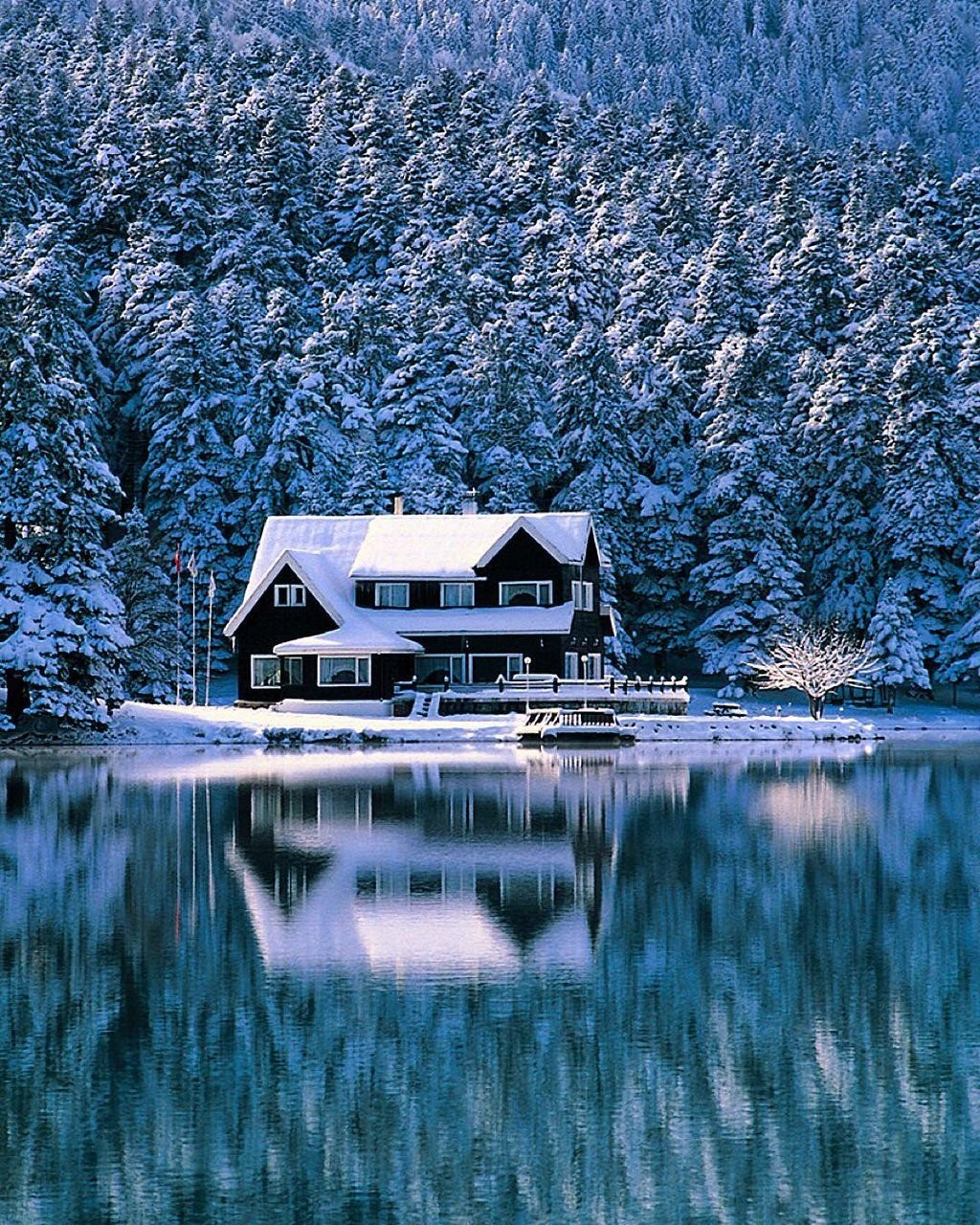 Дом у озера Аляска