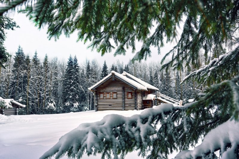 Домик в лесу, зима, снег