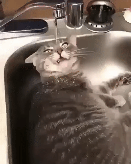 Просто гифки, всякие и разные Просто гифки, всякие и разные