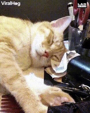 Просто гифки, всякие и разные Просто гифки, всякие и разные