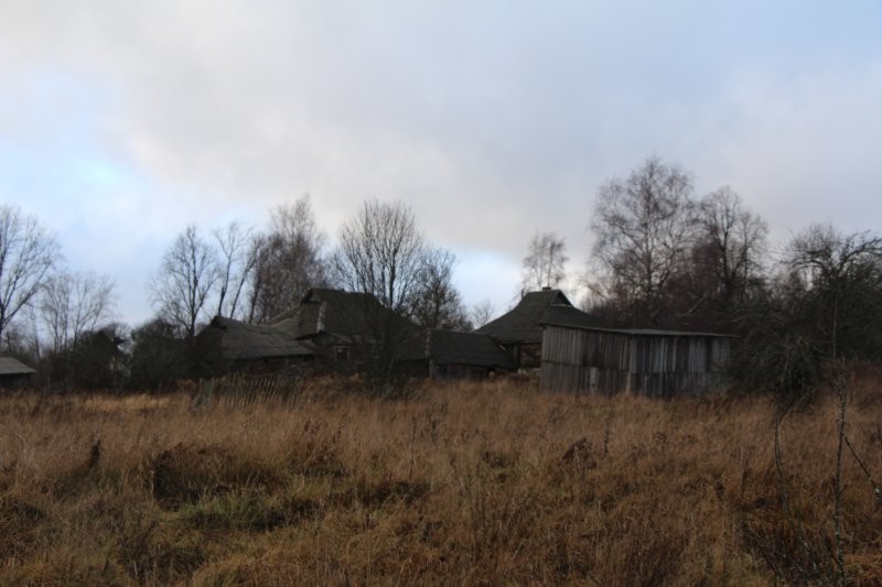 Заброшенная деревня в лесу. Старые дома