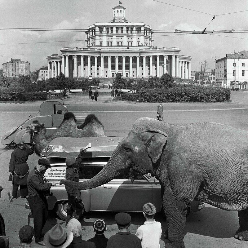 «Москва. У театра Советской Армии». 1957 год. Фото Эрвина Волкова.