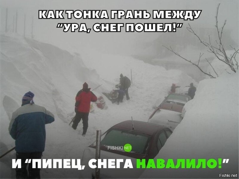 Опять снег смешные картинки