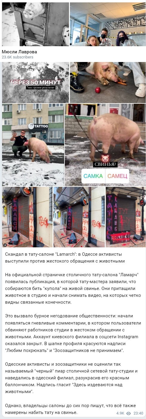 Политический новостной мониторинг. Выпуск 50
