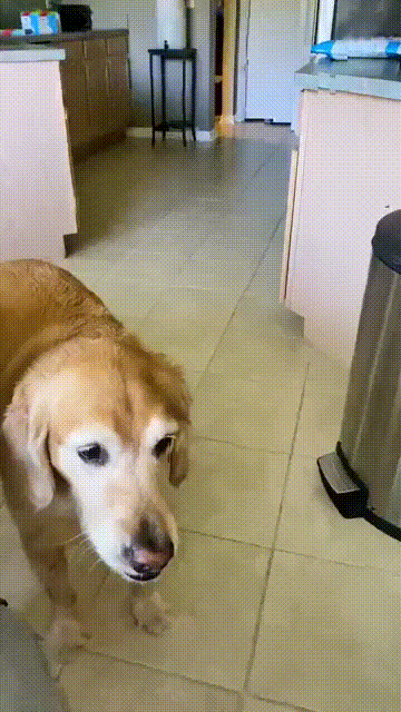 Да что ж такое то