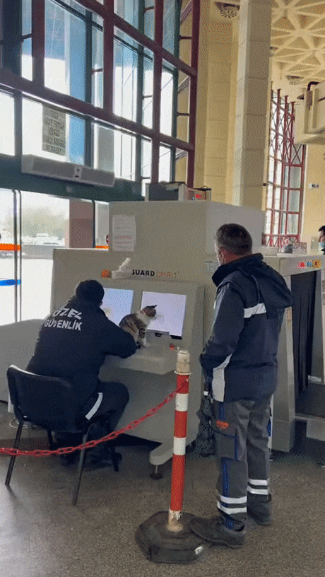 Контрабанда не пройдет