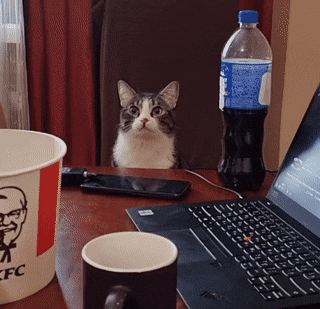 Кошачьи гифки