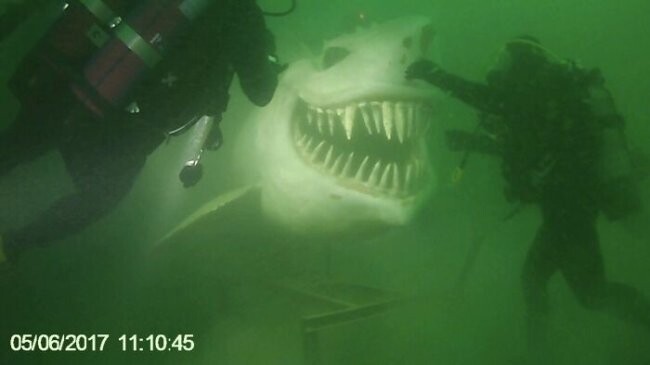 1. Подводная статуя акулы на озере Невшатель