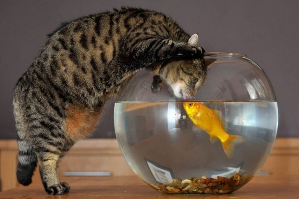 Фотоподборка от Димон за 12 декабря 2021