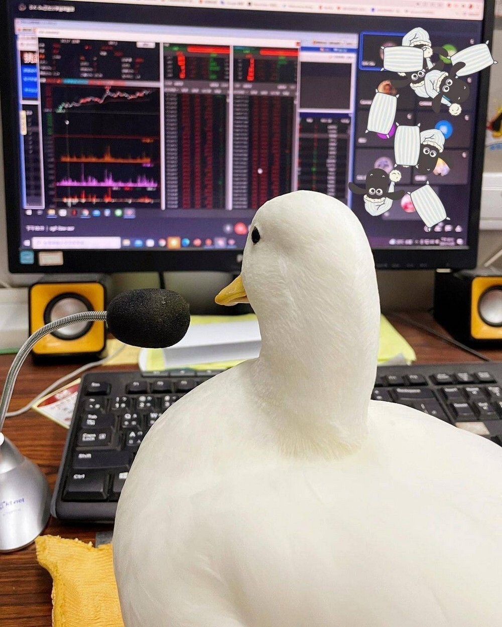 Фотоподборка от Димон за 12 декабря 2021