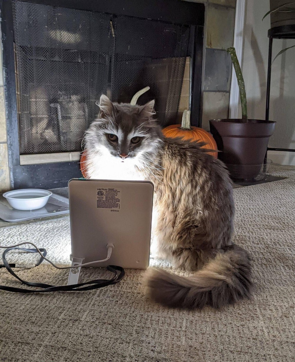 Фотоподборка от Димон за 12 декабря 2021