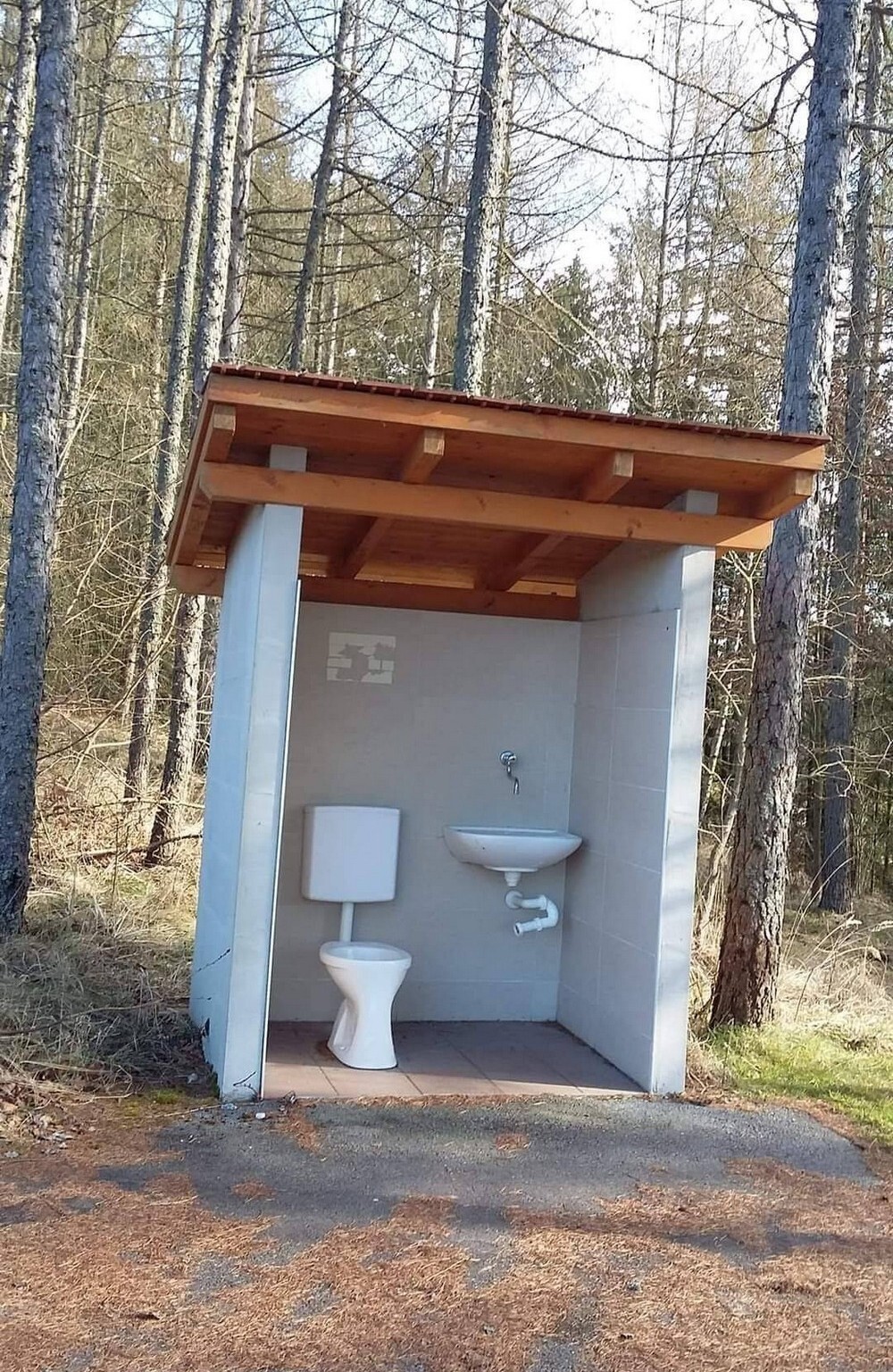 Фотоподборка от Димон за 12 декабря 2021