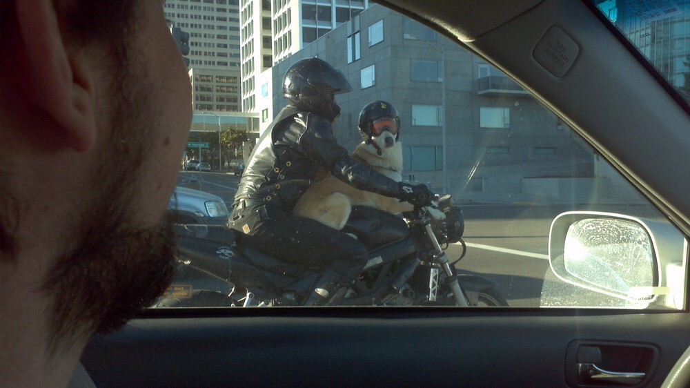 Фотоподборка от Димон за 12 декабря 2021